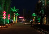 城市景观照明上的一个特定载体